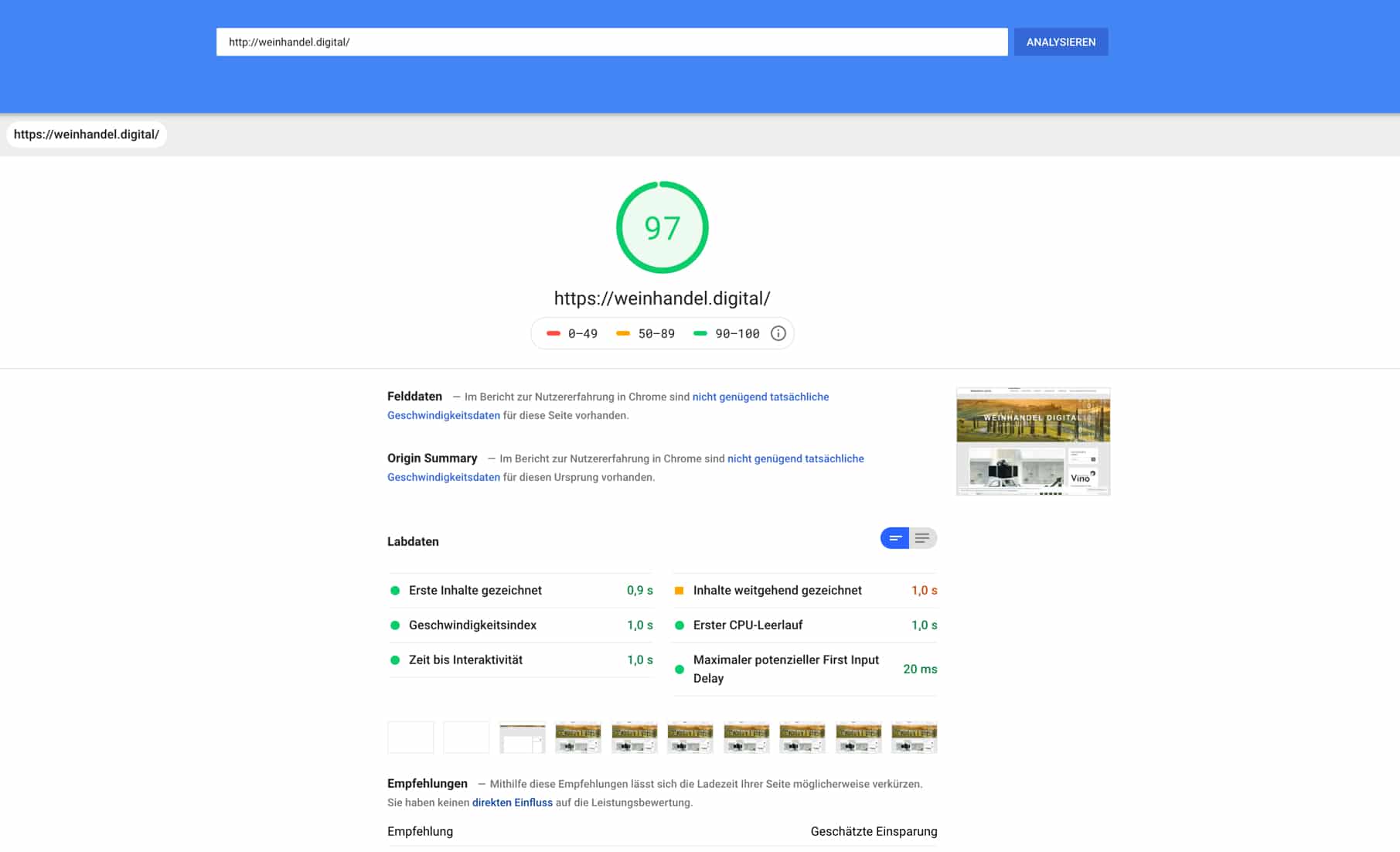 Screenshot Google PageSpeed Insight